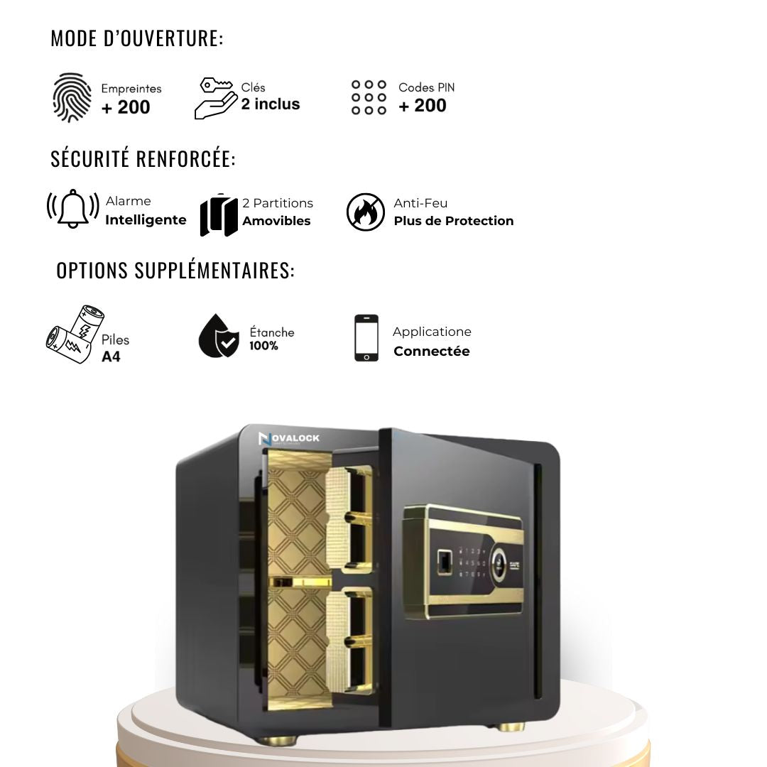 Coffre-Fort Intelligent (Wifi) 25 cm