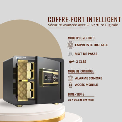 Coffre-Fort Intelligent (Wifi) 25 cm